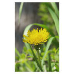 One Dandelion Stationery