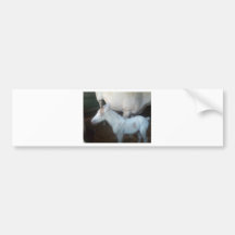 One Day Old Colt -Baby Powder Bumper Sticker