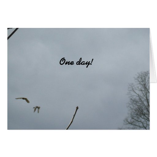 One Day Well Be Together Card Zazzle 0019