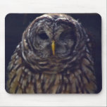 One Eye mousepads