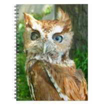 "One-Eyed Screechy" Notebook notebooks