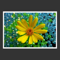 one flower posters by HAJenkins one flower posters
