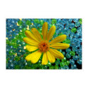 one flower posters