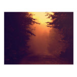 One Foggy Morning Postcard postcards