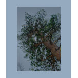 One Happy Tree t-shirts