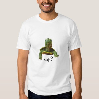 one hip turtle shirt