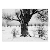 One kind word can warm three winter months cards
