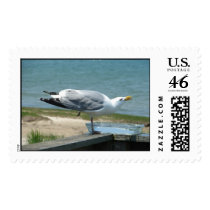 One Legged Seagull postage