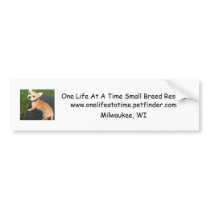 One Life At A Time Small Breed Rescue Bumper Stick bumper stickers by GinaSkorka One Life At A Time Small Breed Rescue Bumper Stick bumper stickers