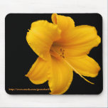 One Lily Mousepad