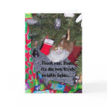 One lit Kitty cards
