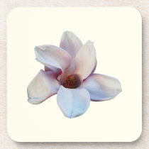 One Magnolia Blossom cork coasters