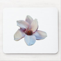 One Magnolia Blossom mousepads