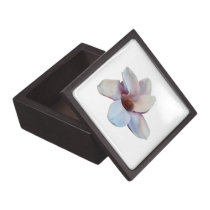 One Magnolia Blossom premium gift boxes