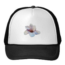 One Magnolia Blossom hats