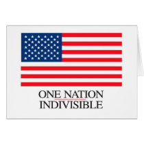 One Nation, Indivisible Cards cards