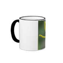 one nite only color mugs
