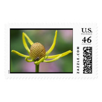 one nite only color postage