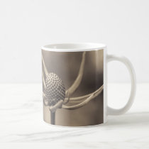 one nite only mugs