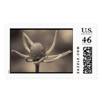 one nite only postage