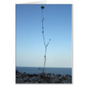 One of a kind cards by mbarbierismith One of a kind cards