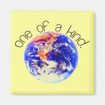 One of a Kind Magnets