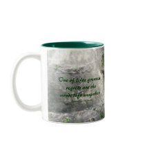 One of lifes greatest regrets...Mug