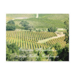 carneros appellation, napa valley, california