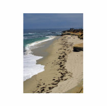 One Of The Beaches At La Jolla Cove photo sculptures