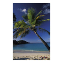 One of the World's Best beaches; Trunk Bay on Art Photo