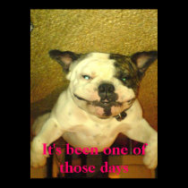 One of those days poster posters