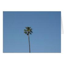one palmtree cards
