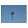 one palmtree
