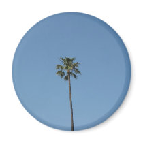 one palmtree magnets
