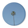 one palmtree