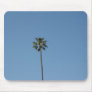 one palmtree
