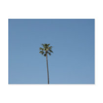 one palmtree postcards by DonnaGrayson one palmtree postcards
