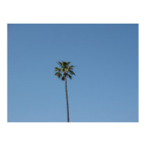 one palmtree posters