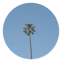 one palmtree stickers