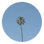 one palmtree