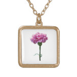 One Pink Carnation