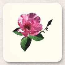 One Pink Rose with Bud cork coasters