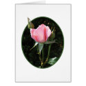 One Pink Rosebud card