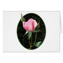 One Pink Rosebud Card