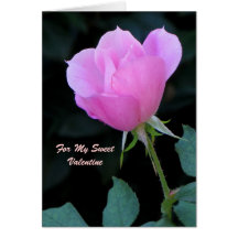 One Pink Rosebud Card