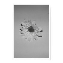 one posters