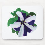 One Purple and White Petunia Mouse Pads