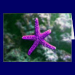 One Purple Starfish cards