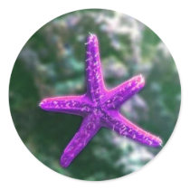 One Purple Starfish Round Sticker