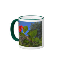 One Red Flower Mugs